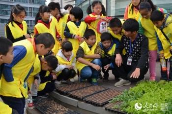 湖里区医疗保障局领导团队引领医疗保障事业迈向新高度