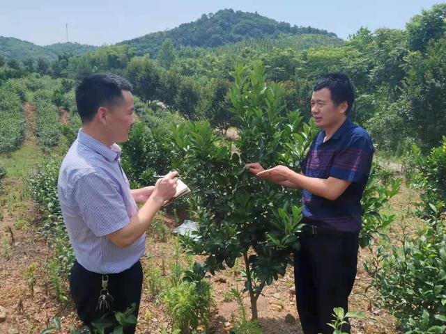 咸宁市建设局最新动态报道