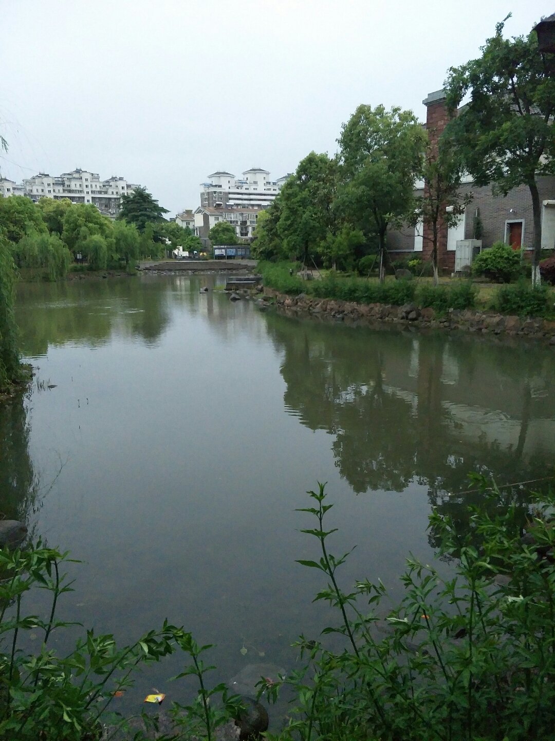 渭塘镇天气预报更新通知