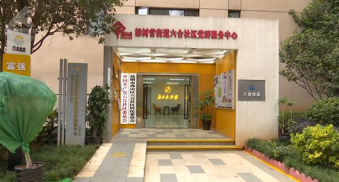 格色居委会新项目，重塑社区活力，推动可持续发展进程