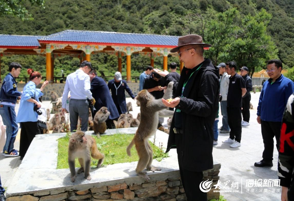 巴河村交通最新动态，交通发展与乡村振兴深度融合推进报道