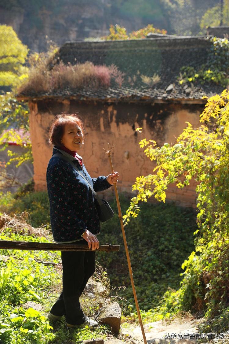 河山村发展规划概览，未来蓝图揭秘