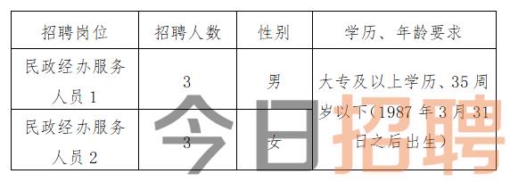 杨河乡最新招聘信息全面解析